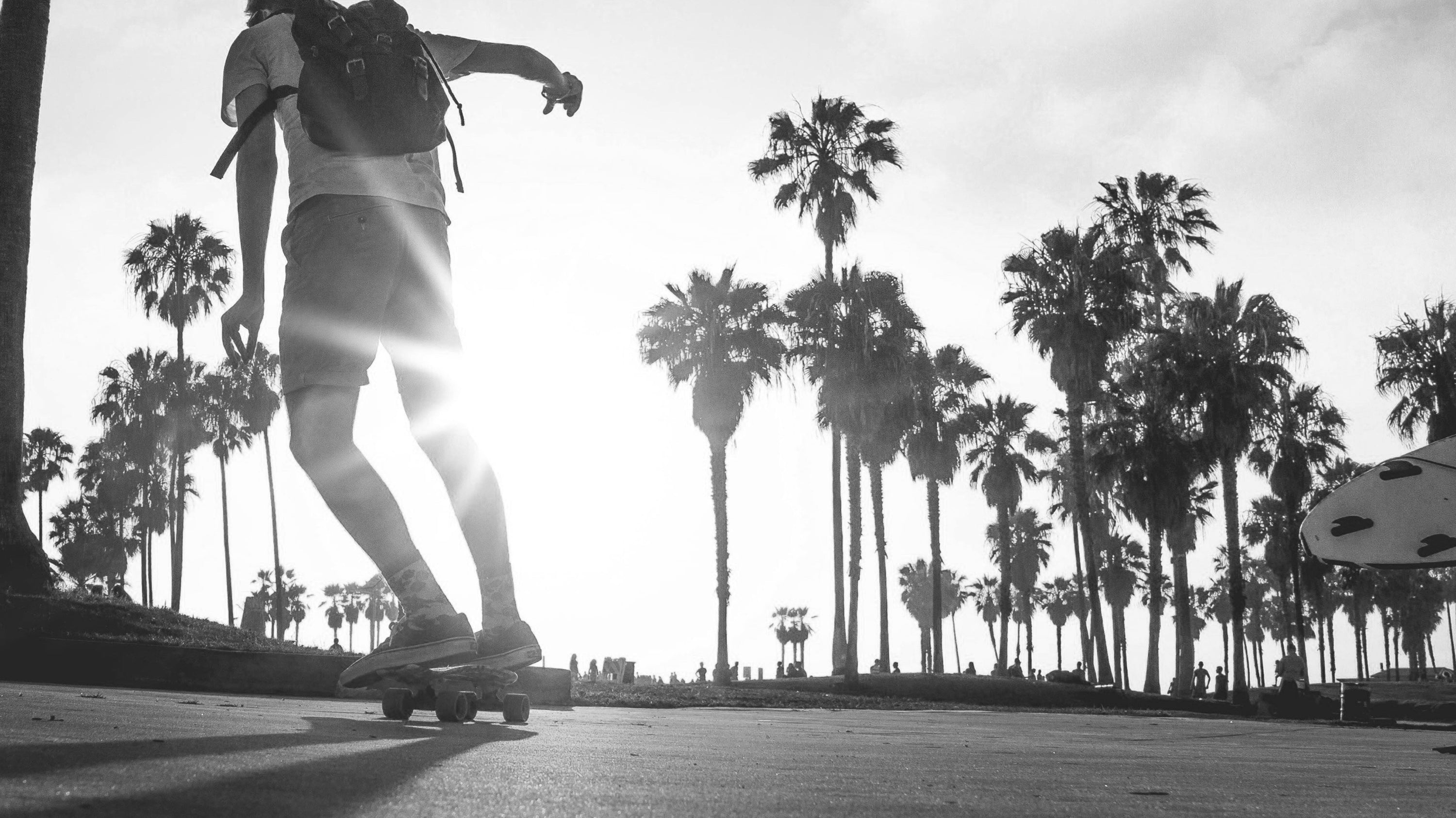 APOLLO BLOG - Carving Longboards: Vor- und Nachteile