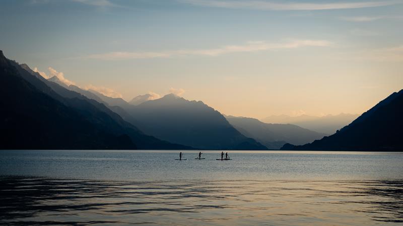 Apollo - SUP Board - Shark - 3 m - Stand Up Paddle Board -