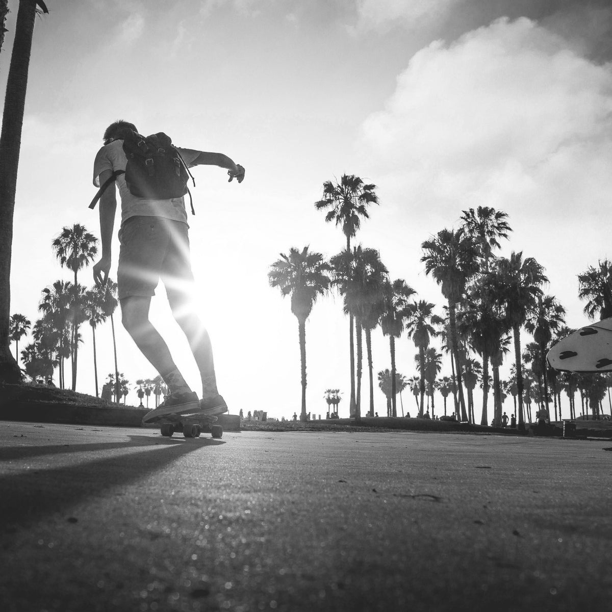 Carving Longboards Vor und Nachteile Apollo Funsport