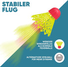 Apollo - Speed Badminton Set - inkl. Tasche, 2x Schläger, Bälle - Blau Pink