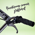 Apollo - Retro Scooter Paradise Roller mit Luftreifen 12,5 Zoll - Grau