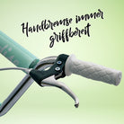 Apollo - Retro Scooter Paradise Roller mit Luftreifen 12,5 Zoll - Mint