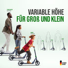 Apollo - High End Scooter Erwachsene - "Tornado 2.0" Cityroller Kinder ab 7 Jahre - Grau Grün
