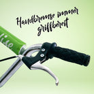 Apollo - Retro Scooter Paradise Roller mit Luftreifen 12,5 Zoll - Grün